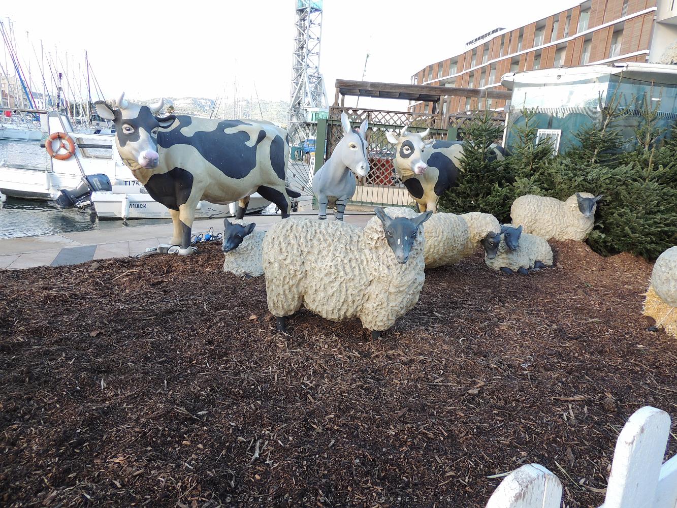 33  La seyne Les animaux de la Ferme.JPG -           